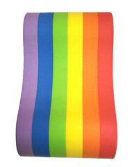Swimz Club Pull Buoy - Rainbow